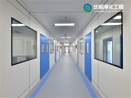 1735288810820456.jpg 6.jpg